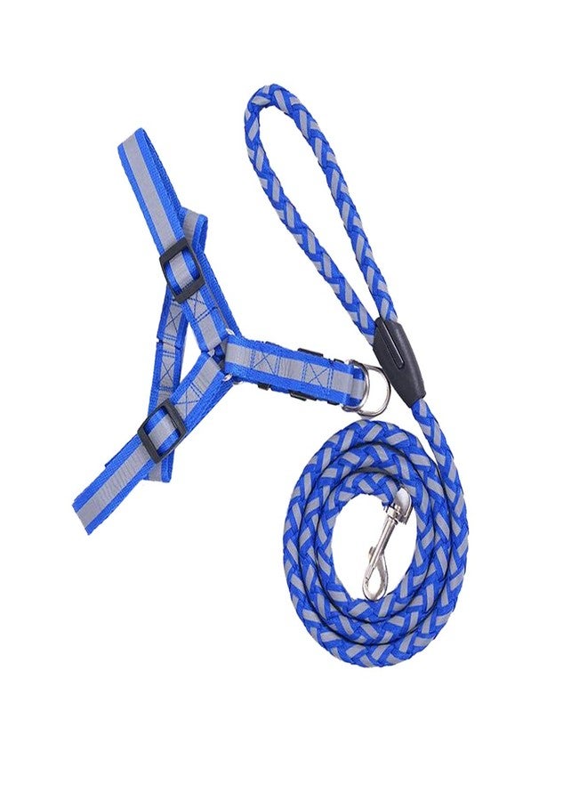 Nema NM Nema Nylon Chest Strap Reflective Dog Training Harness Leash-Blue-Large - Image 2